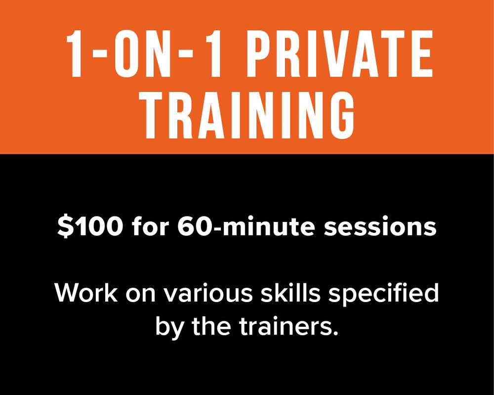 1 on 1 private training